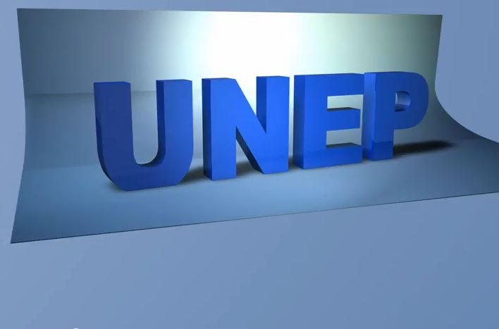 UNEP Ecole Professionnelle