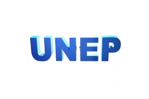 UNEP Ecole Professionnelle