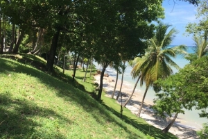 Beachfront Land at Port Salut (1,700 m2)