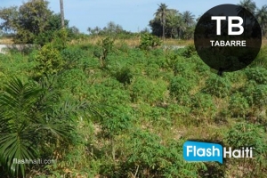 9 Hectares Plot of Land For Sale next to US Embassy Tabarre