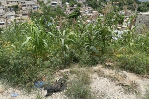 516 Sq Meters (4 Centiemes), By The Streets, Commercial Land For Sale In Juvenat, Petion-Ville, Haiti 