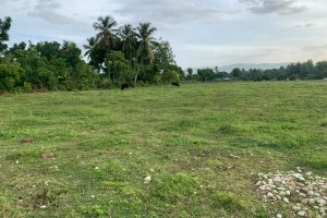 Premium, Flat, Ready To Build Farm Or Project Land For Sale In Torbeck, Les Cayes