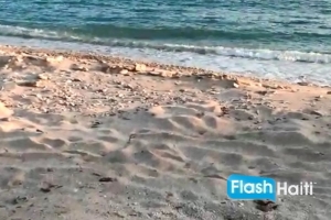 Exquisite Beachfront Paradise in Port Salut