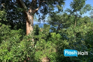 Build Your Dream Villa by the Sea in Northern Haiti