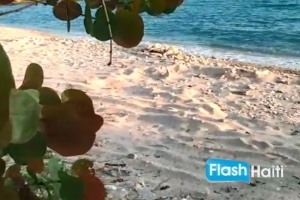 Exquisite Beachfront Paradise in Port Salut