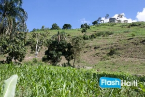 Beautiful Mountain Land in Laboule 12, Kenscoff