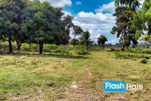 Terrain a Vendre au Cap-Haitien