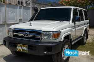 2016 Toyota Land Cruiser LX (Zo Reken)