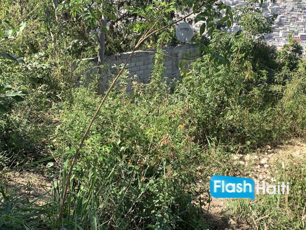 Flat Residential Lot in Marlique Pétion-Ville – Great Price