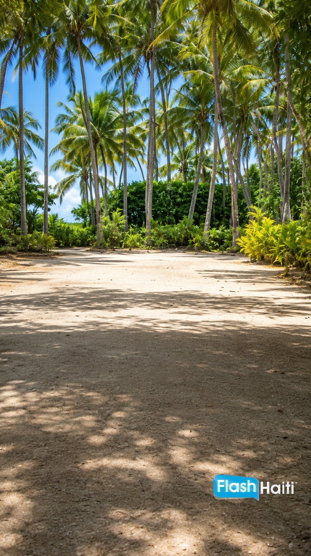 Magnifique Propriété Tropicale à Vendre à Jacmel