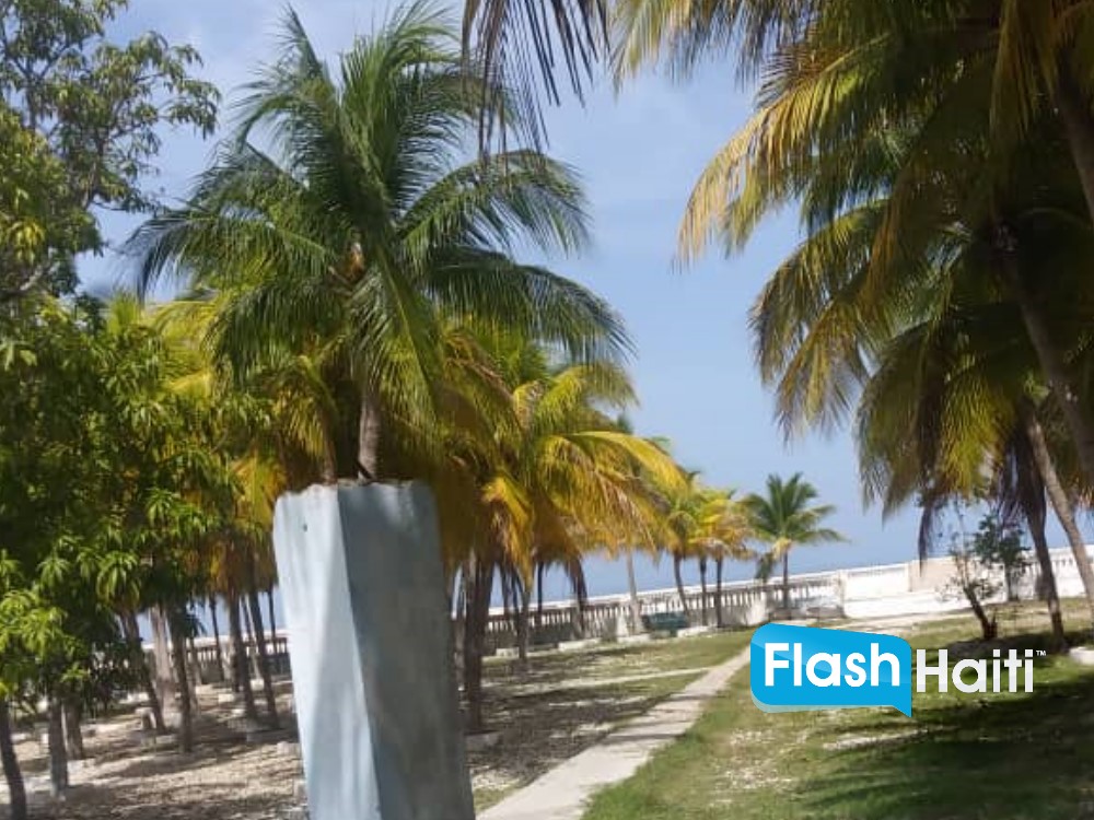 Seashore Land with Docking Facilities for Sale