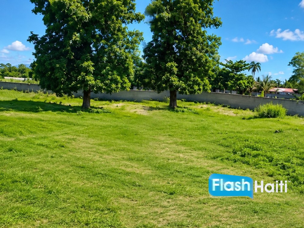 Prime Residential & Commercial Land for Sale in Limonade