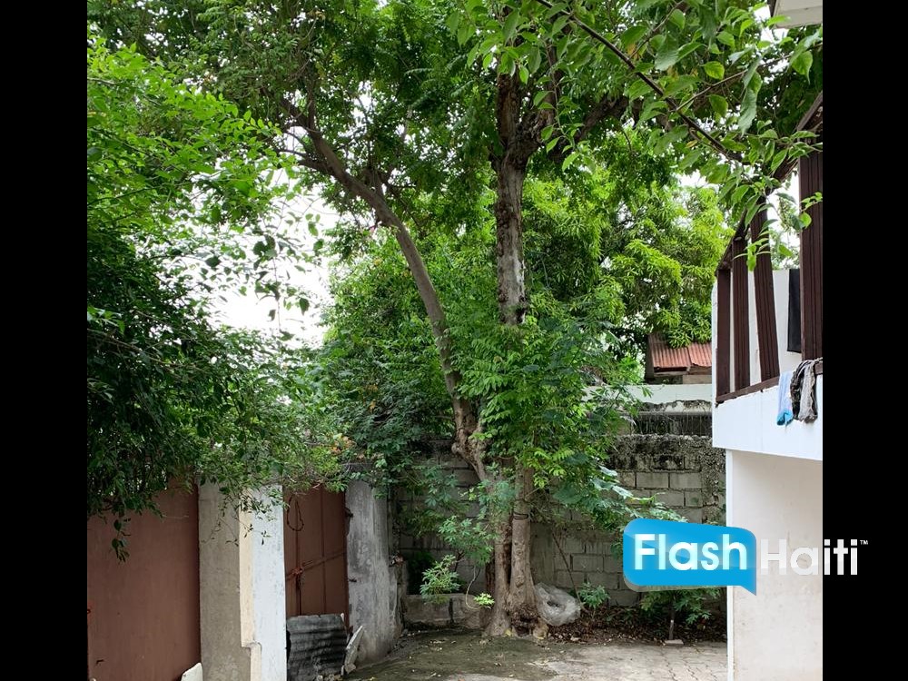 Maison d’Exception à Vendre à Pacot avec Vue Mer Panoramique