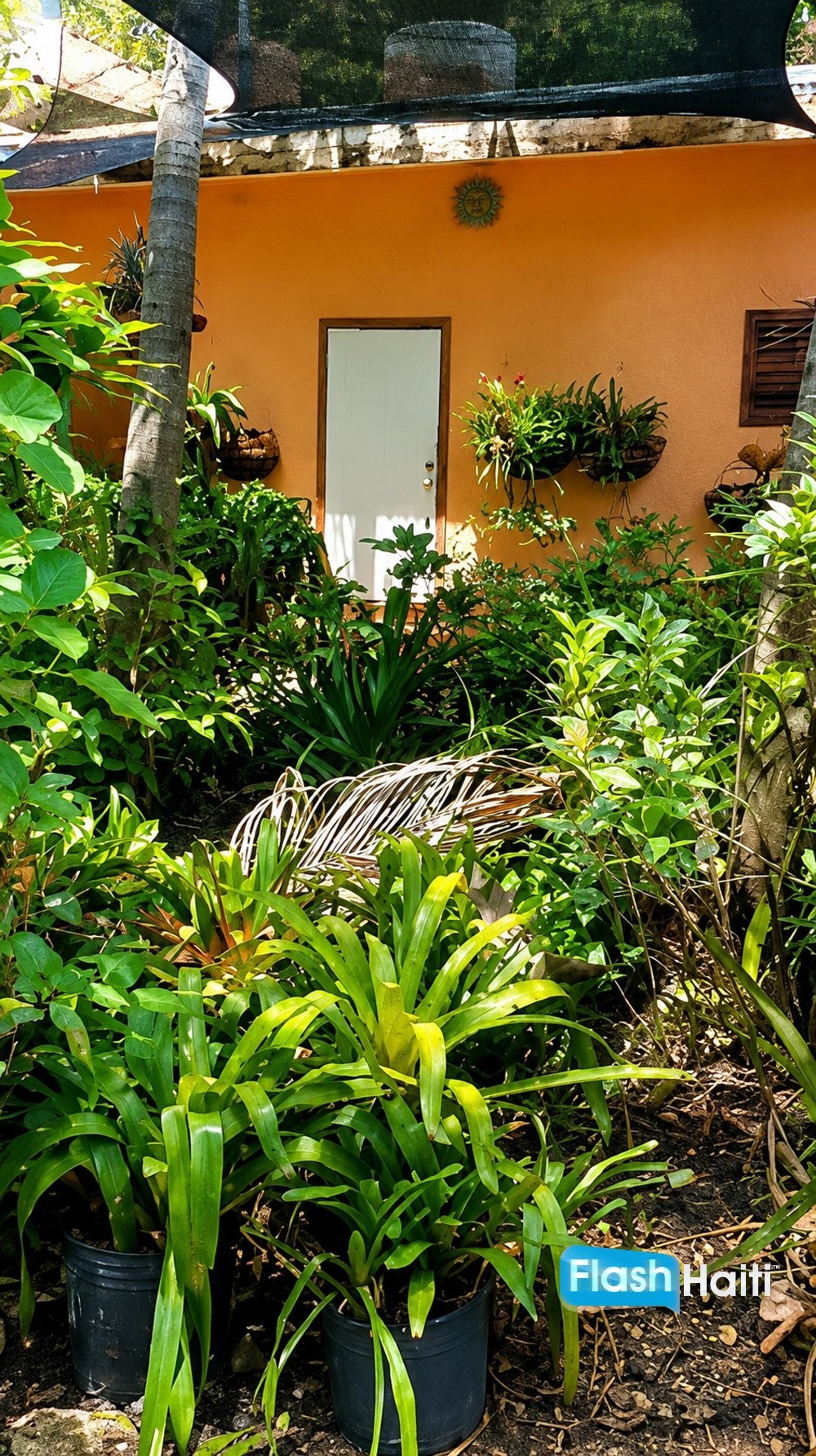 Magnifique Propriété Tropicale à Vendre à Jacmel