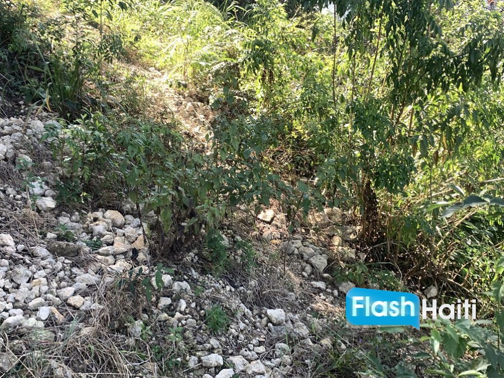 Flat Residential Lot in Marlique Pétion-Ville – Great Price