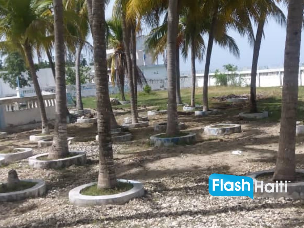 Seashore Land with Docking Facilities for Sale