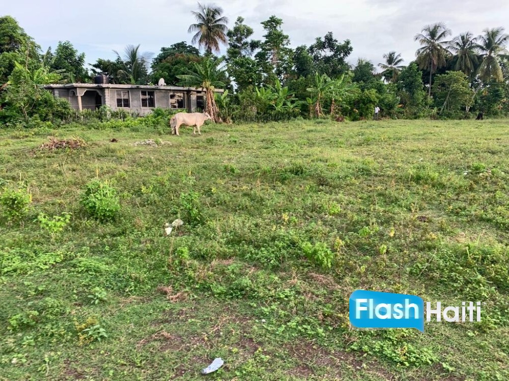 Premium, Flat, Ready To Build Farm Or Project Land For Sale In Torbeck, Les Cayes