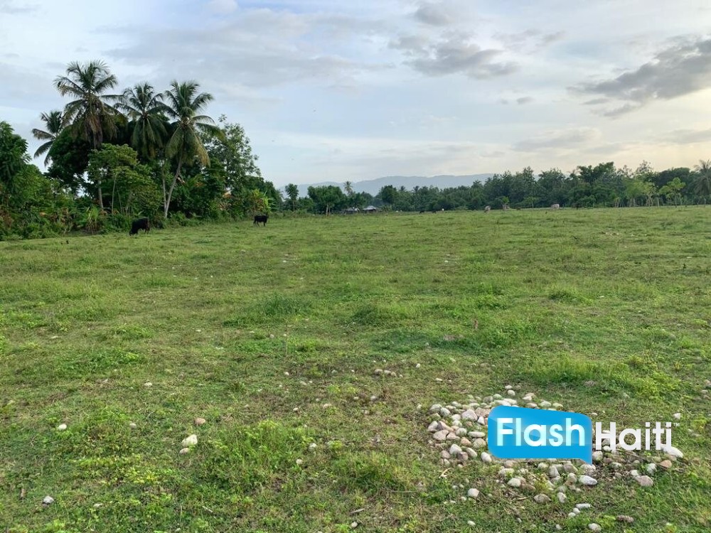 Premium, Flat, Ready To Build Farm Or Project Land For Sale In Torbeck, Les Cayes
