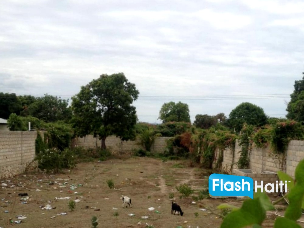 Exceptional Investment Opportunity in Gonaïves – Main Road Frontage