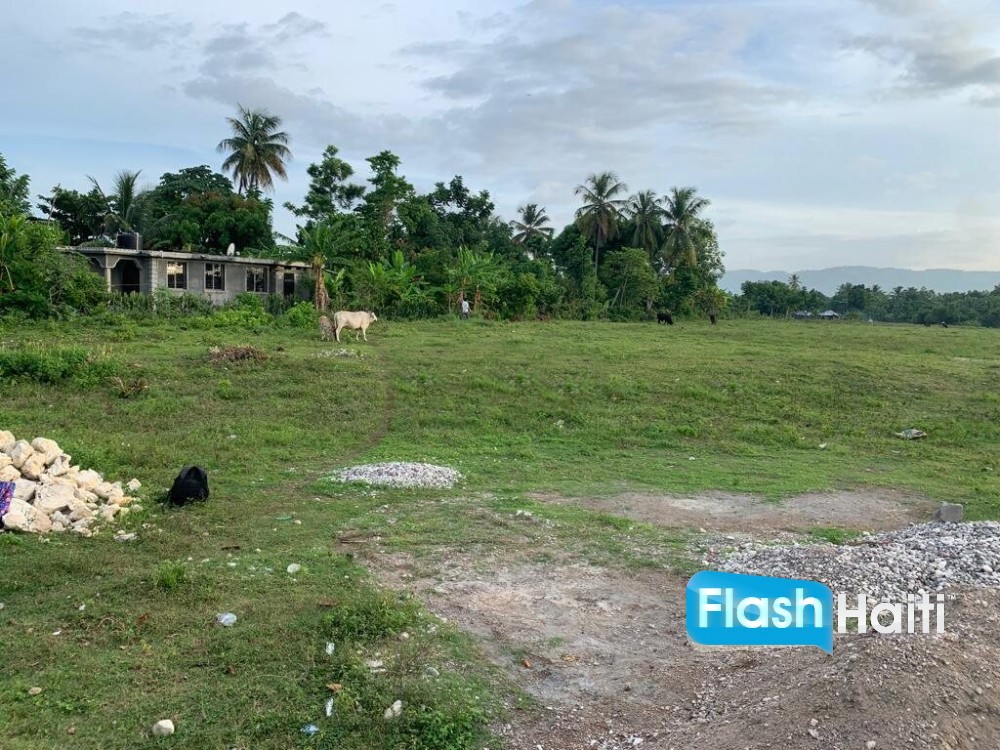 Premium, Flat, Ready To Build Farm Or Project Land For Sale In Torbeck, Les Cayes