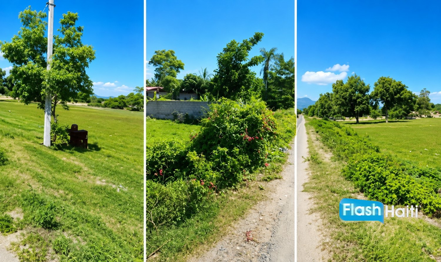 Prime Residential & Commercial Land for Sale in Limonade