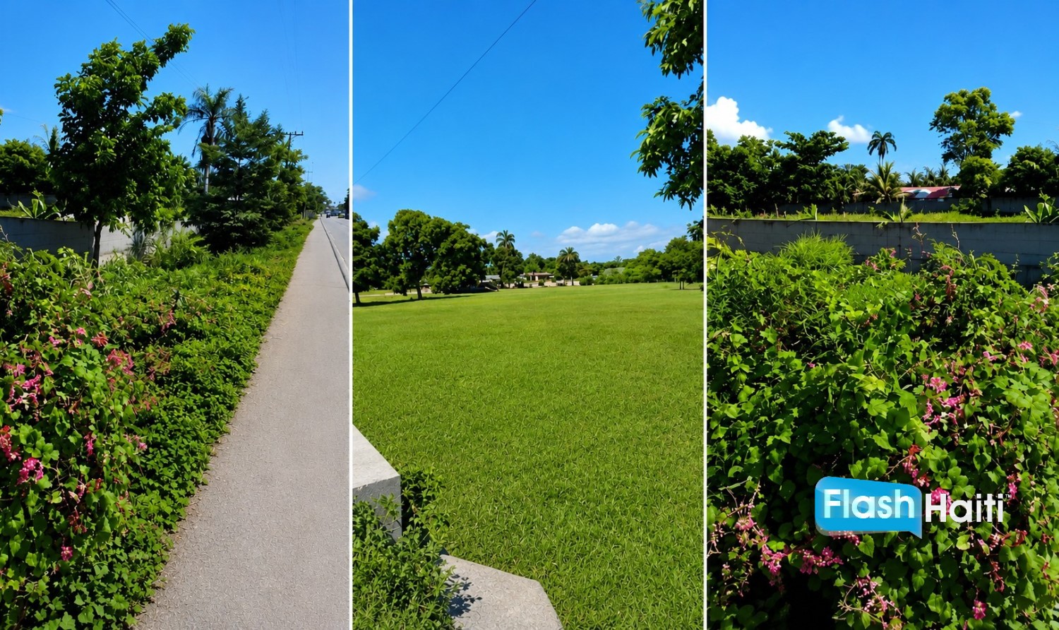 Prime Residential & Commercial Land for Sale in Limonade