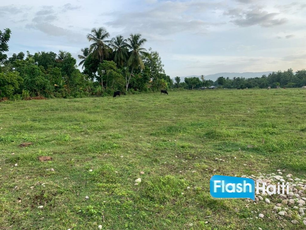 Premium, Flat, Ready To Build Farm Or Project Land For Sale In Torbeck, Les Cayes