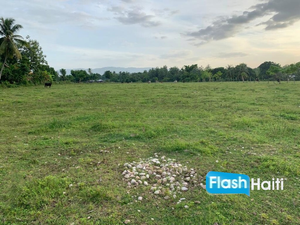 Premium, Flat, Ready To Build Farm Or Project Land For Sale In Torbeck, Les Cayes