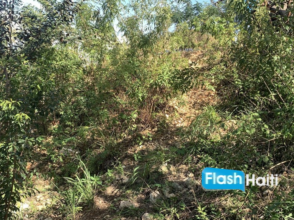 Flat Residential Lot in Marlique Pétion-Ville – Great Price