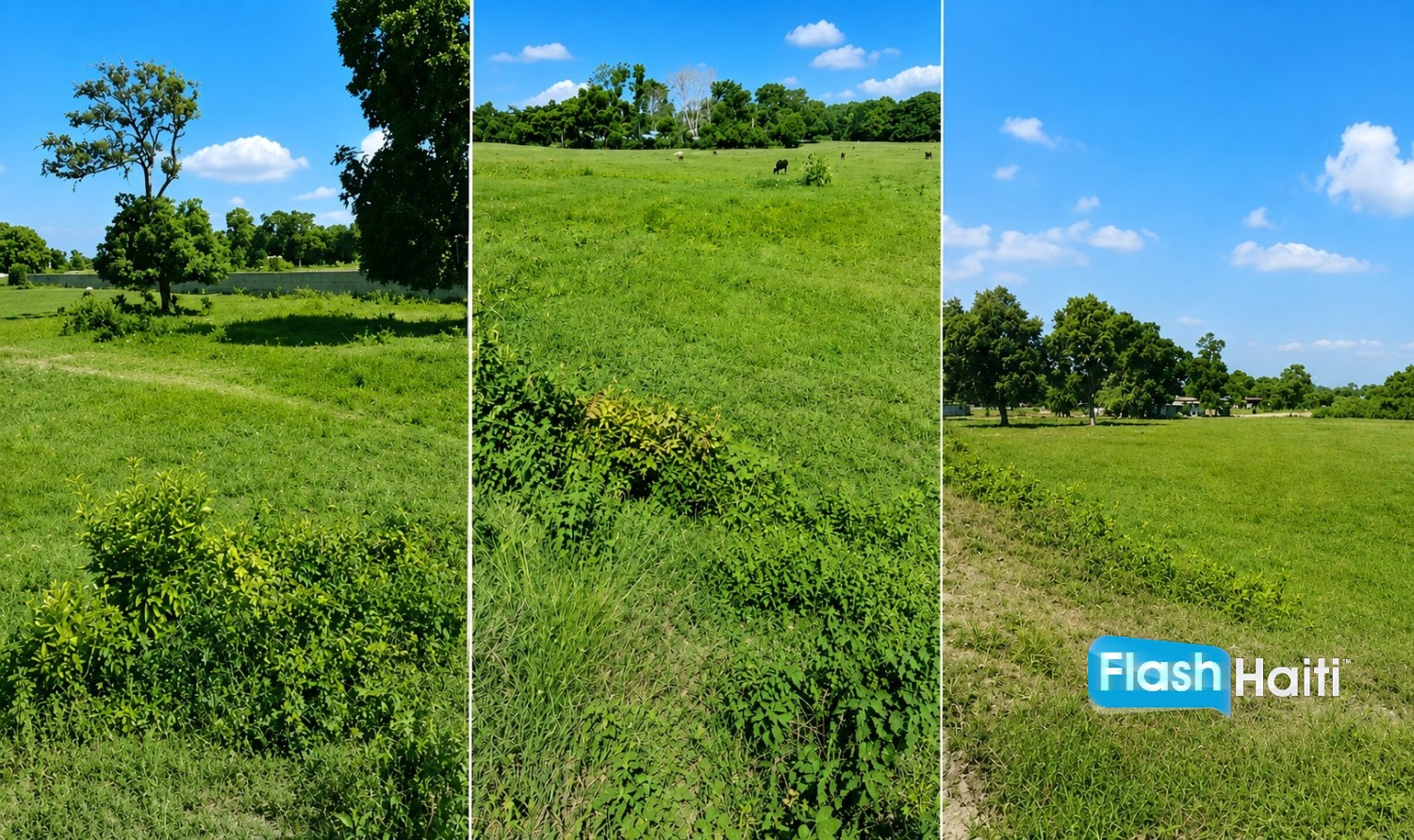Prime Residential & Commercial Land for Sale in Limonade