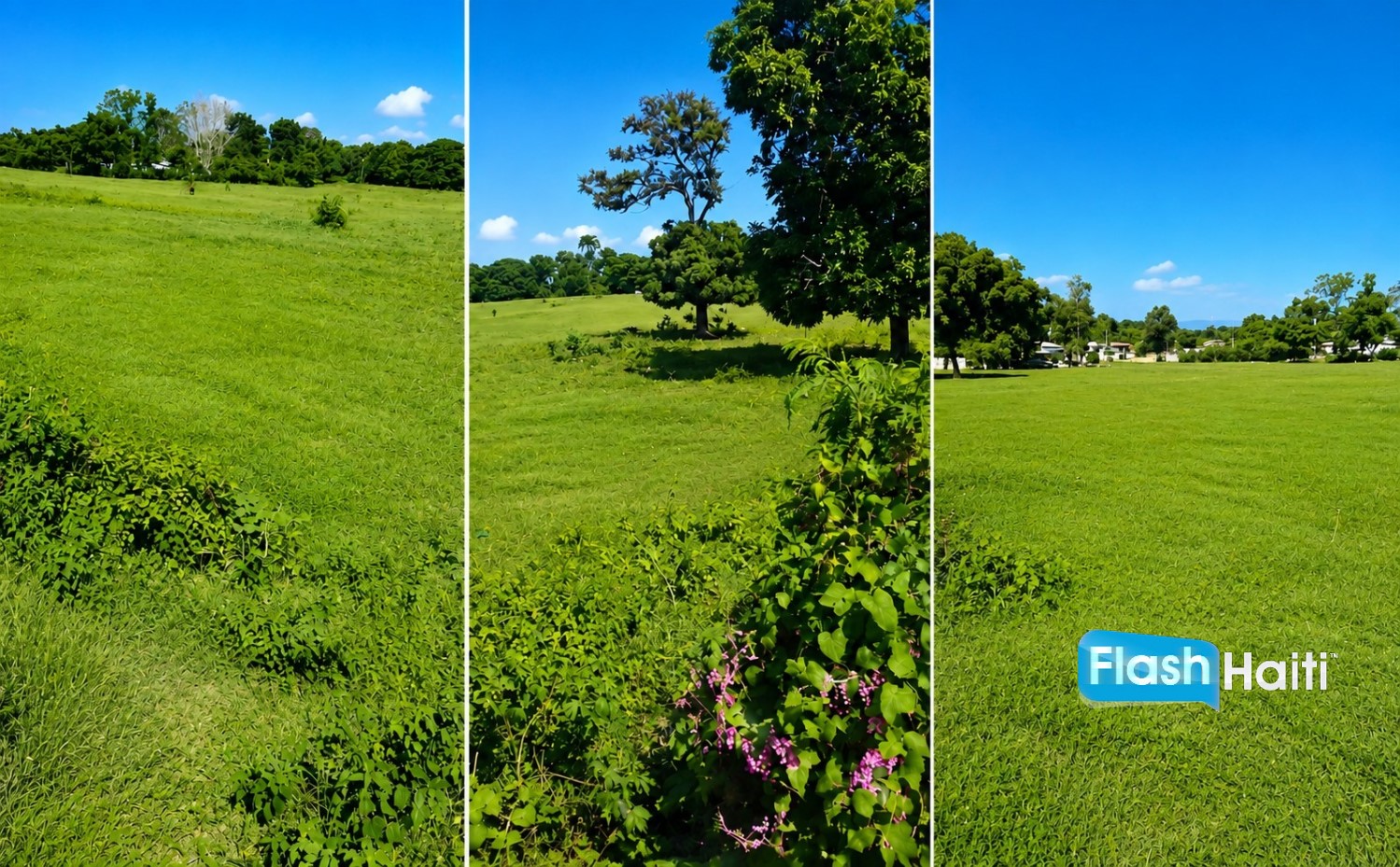 Prime Residential & Commercial Land for Sale in Limonade