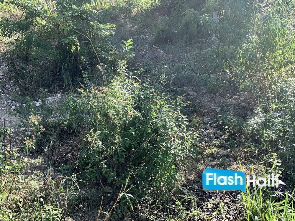 Flat Residential Lot in Marlique Pétion-Ville – Great Price