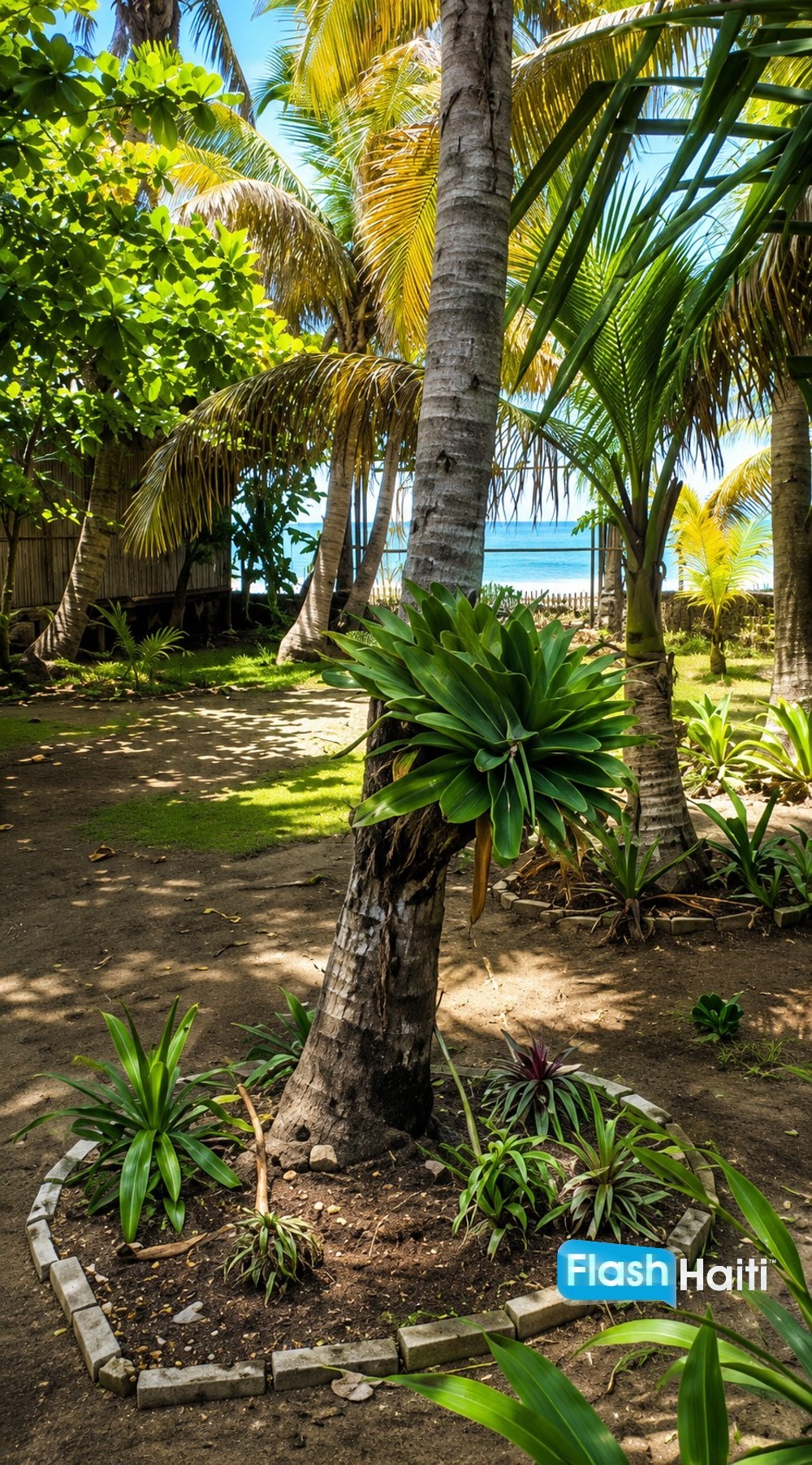 Magnifique Propriété Tropicale à Vendre à Jacmel
