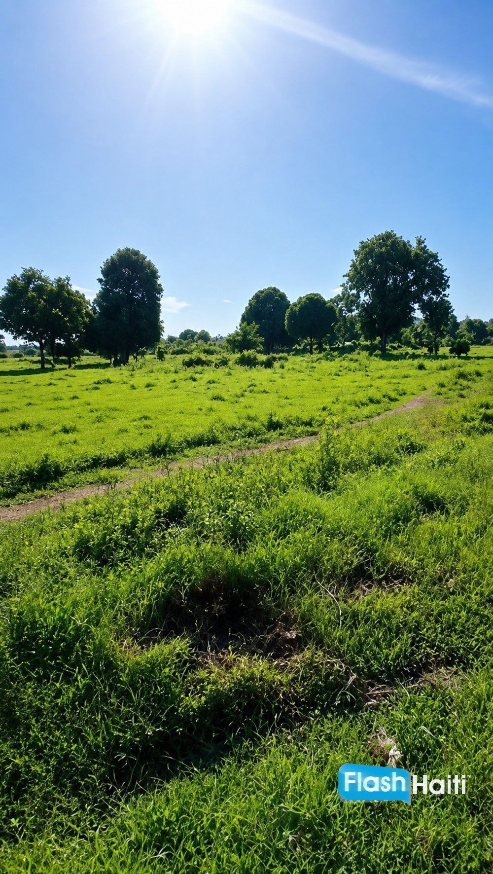 Beau terrain à vendre à Clérisse, Quartier Morin