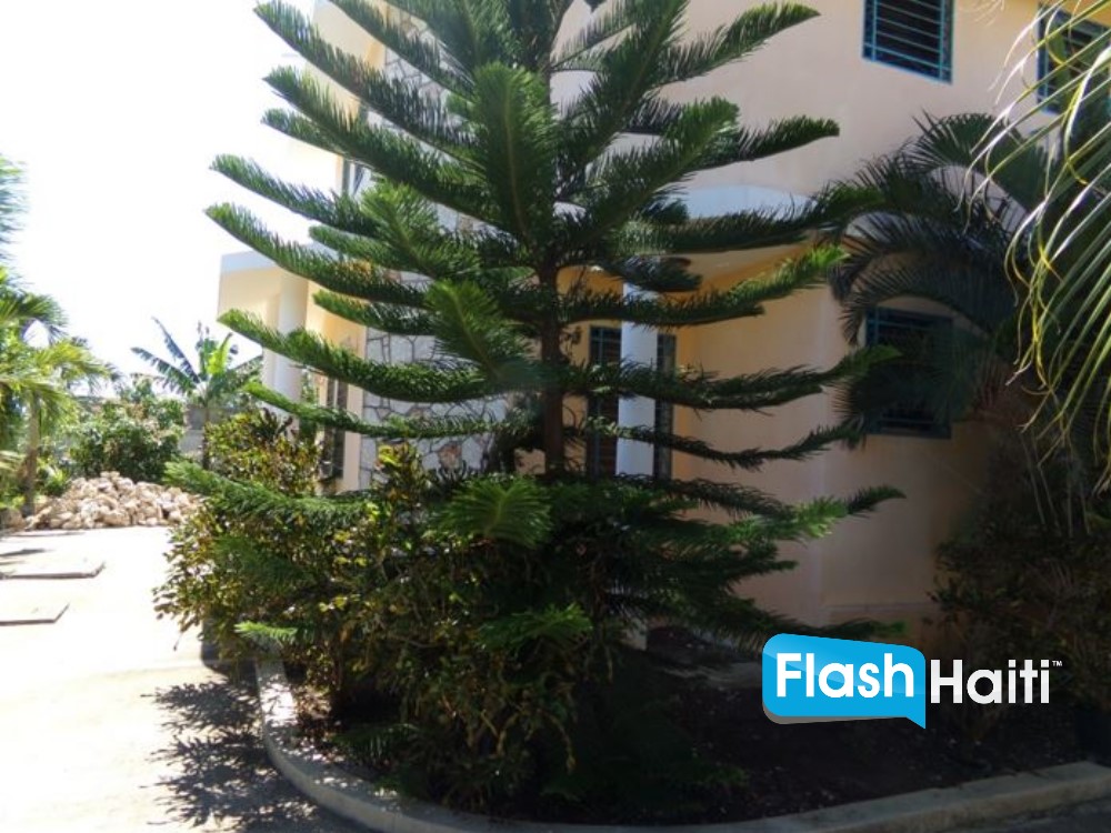 Trésor d’investissement à Jacmel : 3 maisons + 2 studios sur un grand terrain