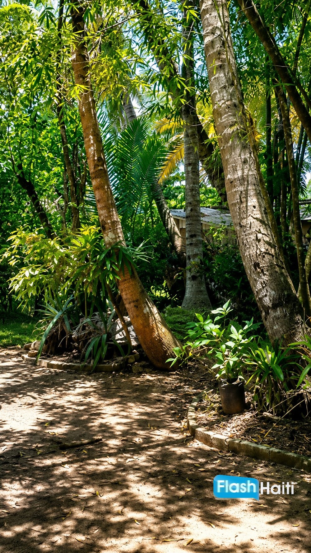 Magnifique Propriété Tropicale à Vendre à Jacmel