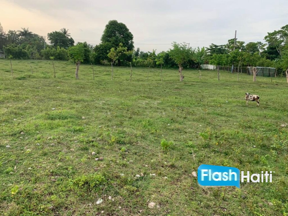 Premium, Flat, Ready To Build Farm Or Project Land For Sale In Torbeck, Les Cayes