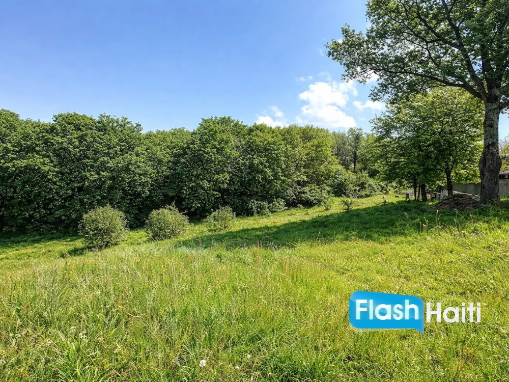 Port Salut Land Opportunity – Scenic & Serene Location