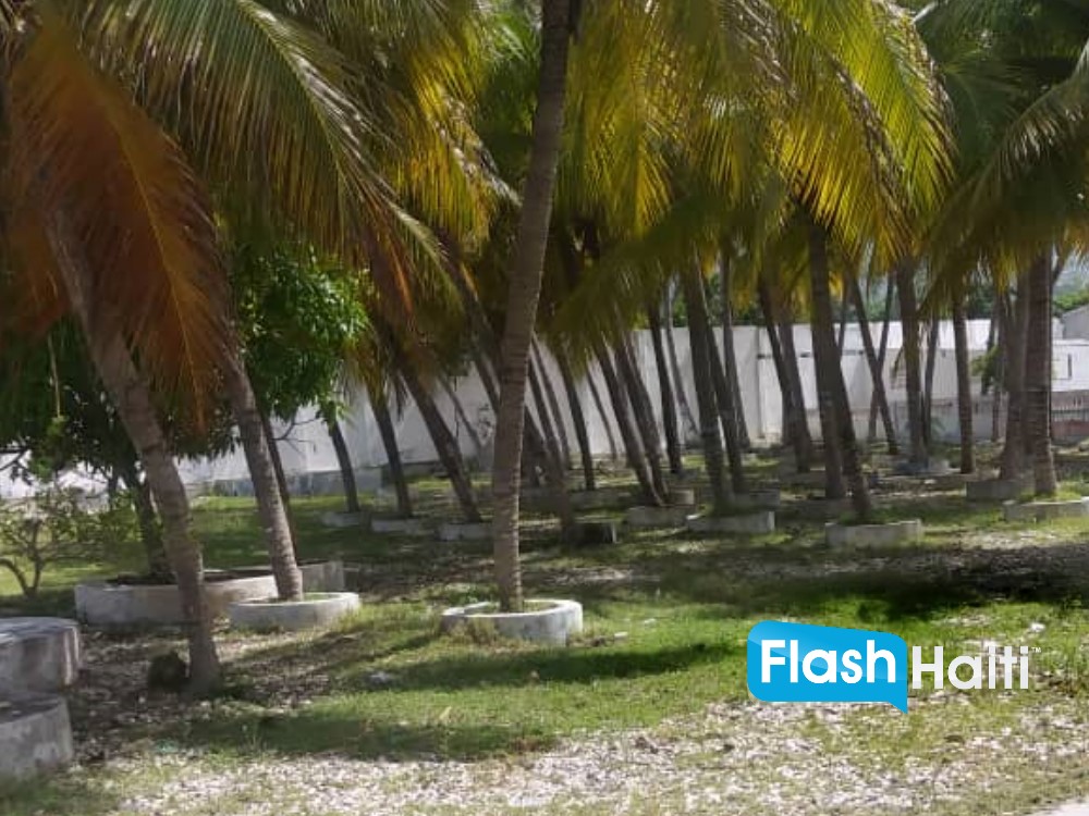 Seashore Land with Docking Facilities for Sale