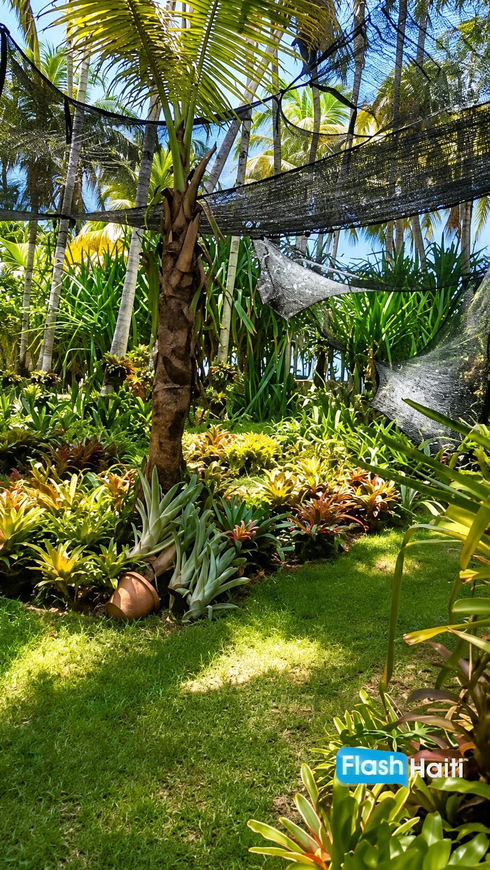 Magnifique Propriété Tropicale à Vendre à Jacmel