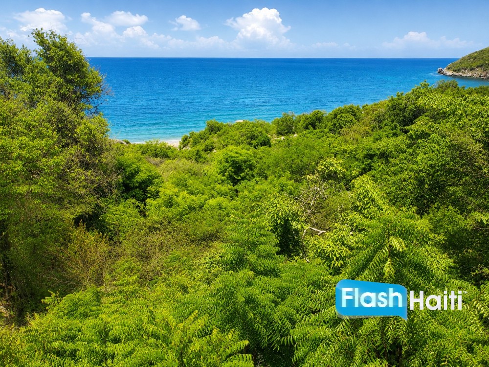 Prime Beachfront Land for Sale in Labadee, Haiti — By Hectare