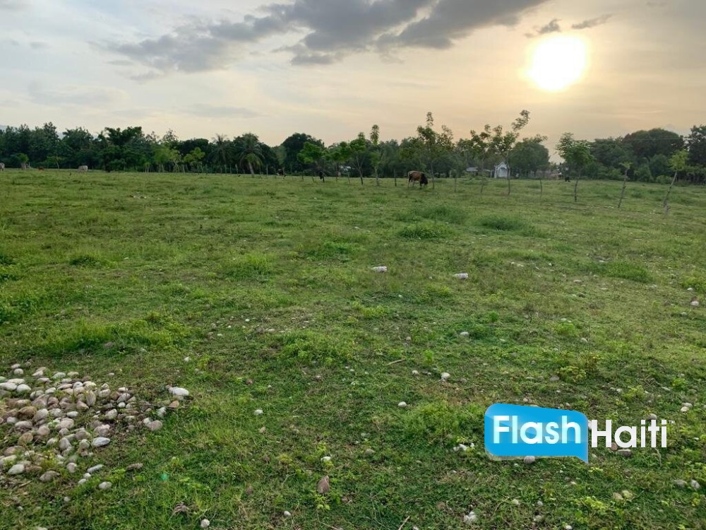 Premium, Flat, Ready To Build Farm Or Project Land For Sale In Torbeck, Les Cayes