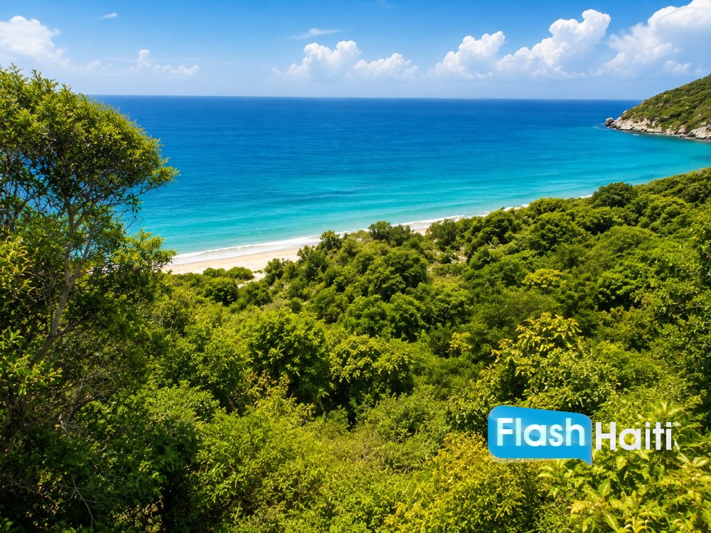 Prime Beachfront Land for Sale in Labadee, Haiti — By Hectare