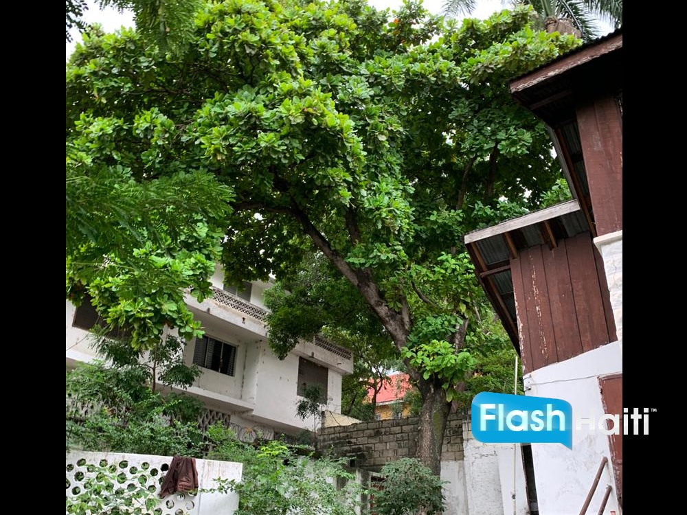 Maison d’Exception à Vendre à Pacot avec Vue Mer Panoramique