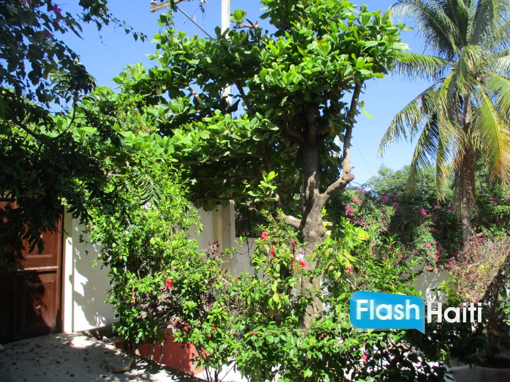 Belle Maison 3 Chambres avec Jardin à Juvenat, Pétion-Ville