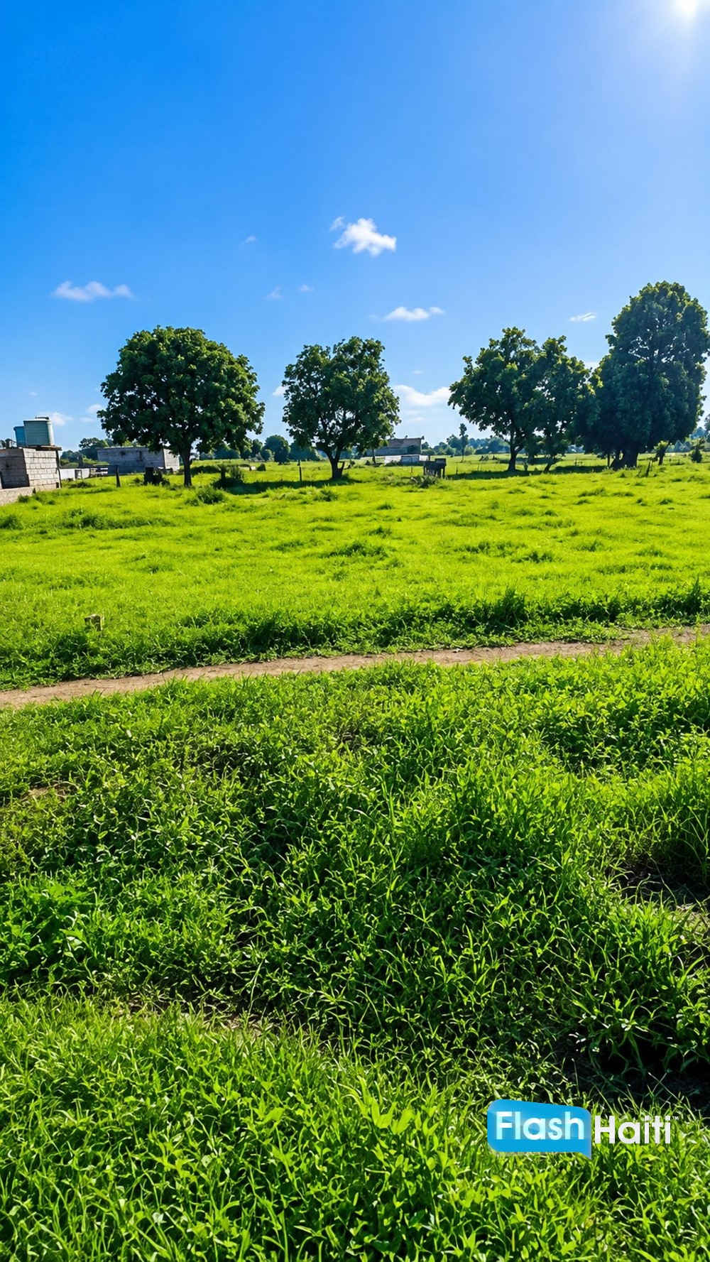 Beau terrain à vendre à Clérisse, Quartier Morin