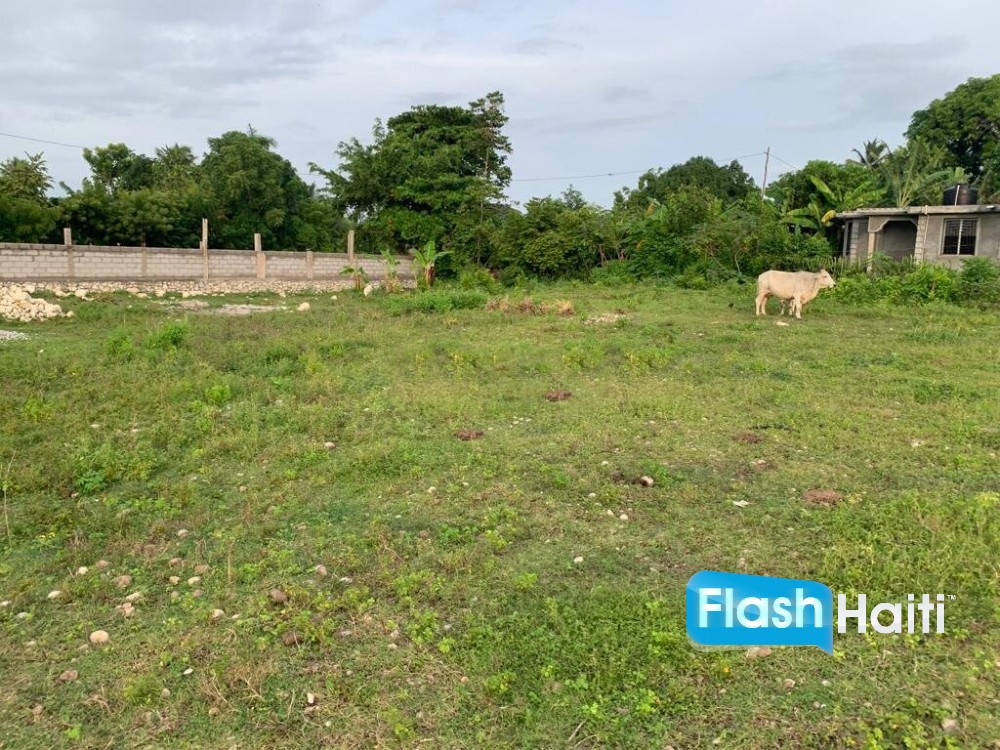 Premium, Flat, Ready To Build Farm Or Project Land For Sale In Torbeck, Les Cayes
